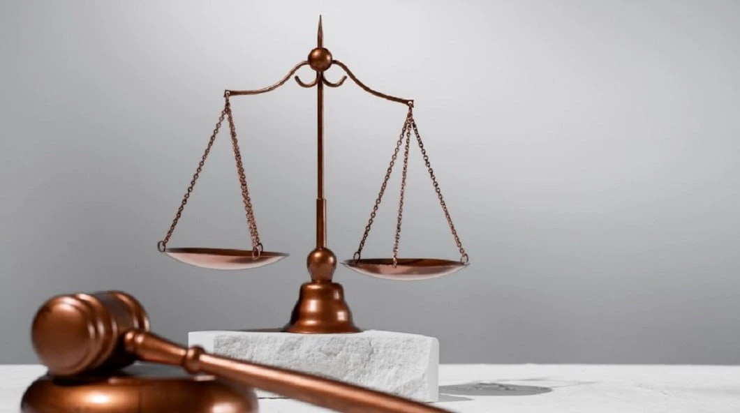 В Красноярске за убийство кота осудят 25-летнего мужчину