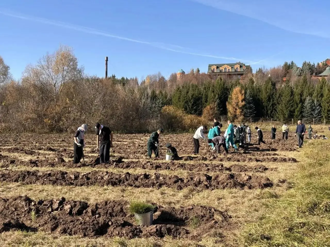 🌲 Школьники из Урняка и Шушмабаша помогли высадить более 5 тысяч деревьев возле Казанк...