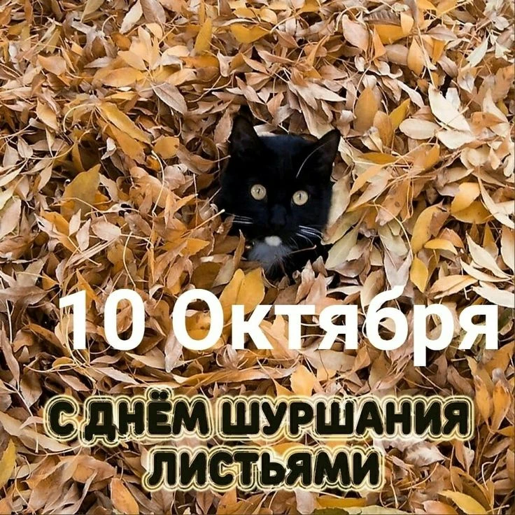 🔮 ЧЕННЕЛИНГ-ПРОГНОЗ НА 10 ОКТЯБРЯ 2026 ГОДА