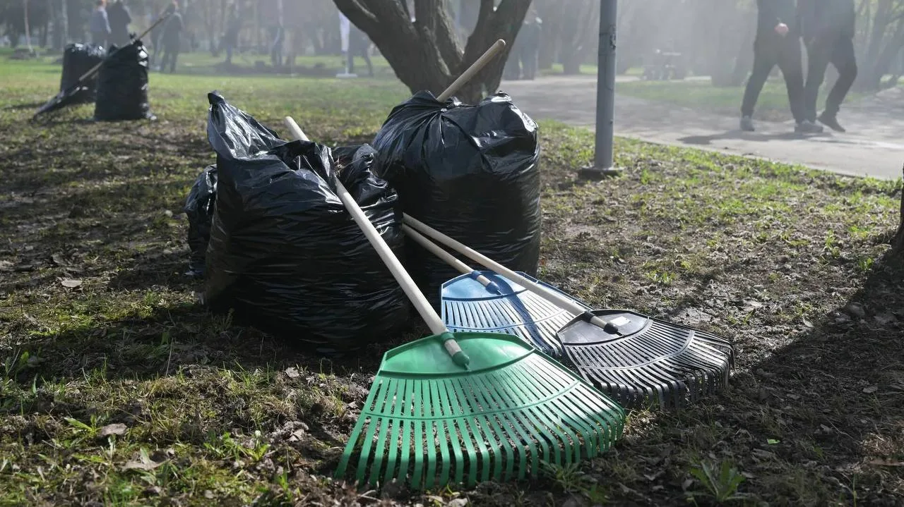 🧹 Общегородской «Добрый субботник» – пройдет 17 октября в 10:00