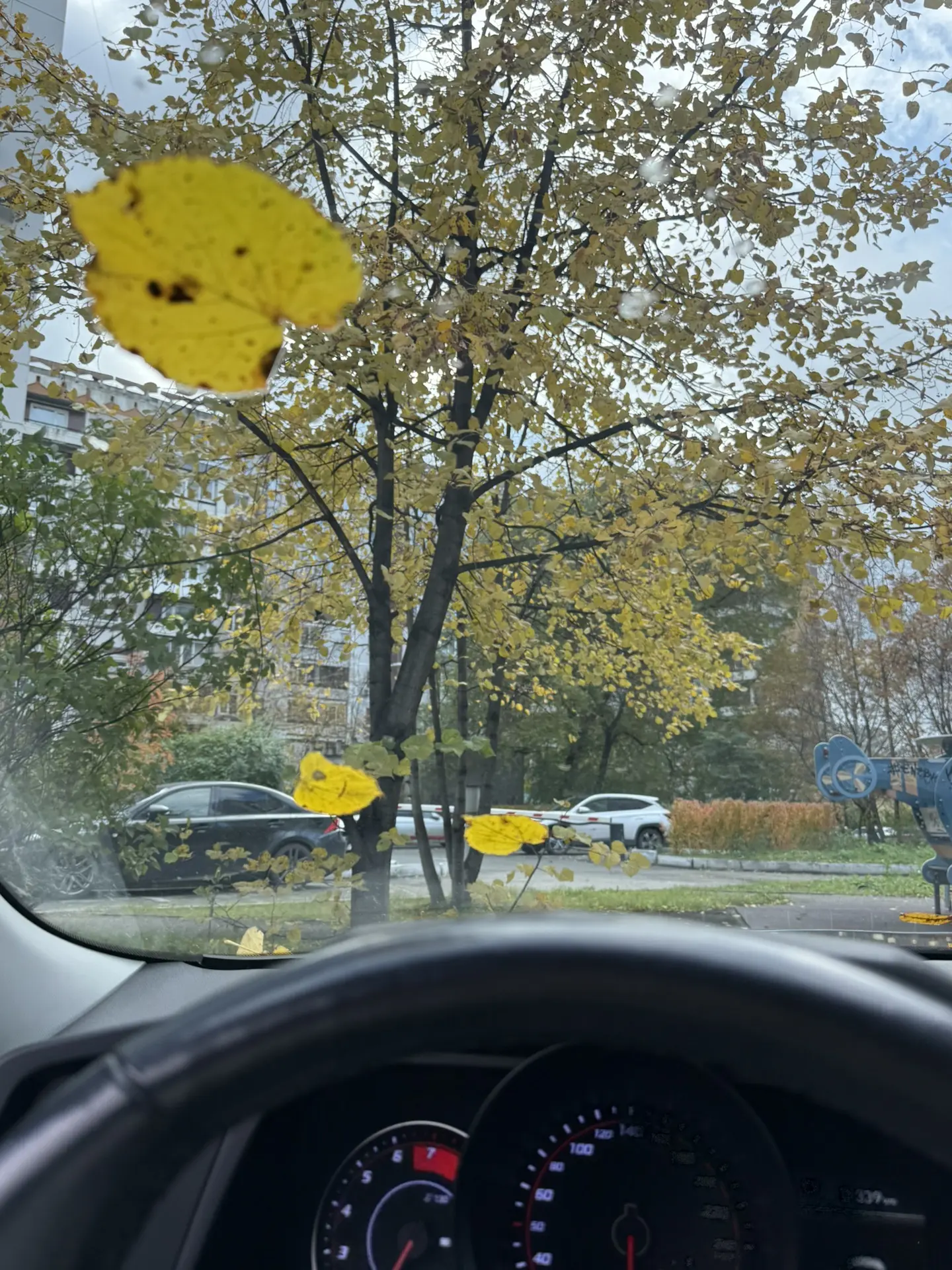 Настроение дня