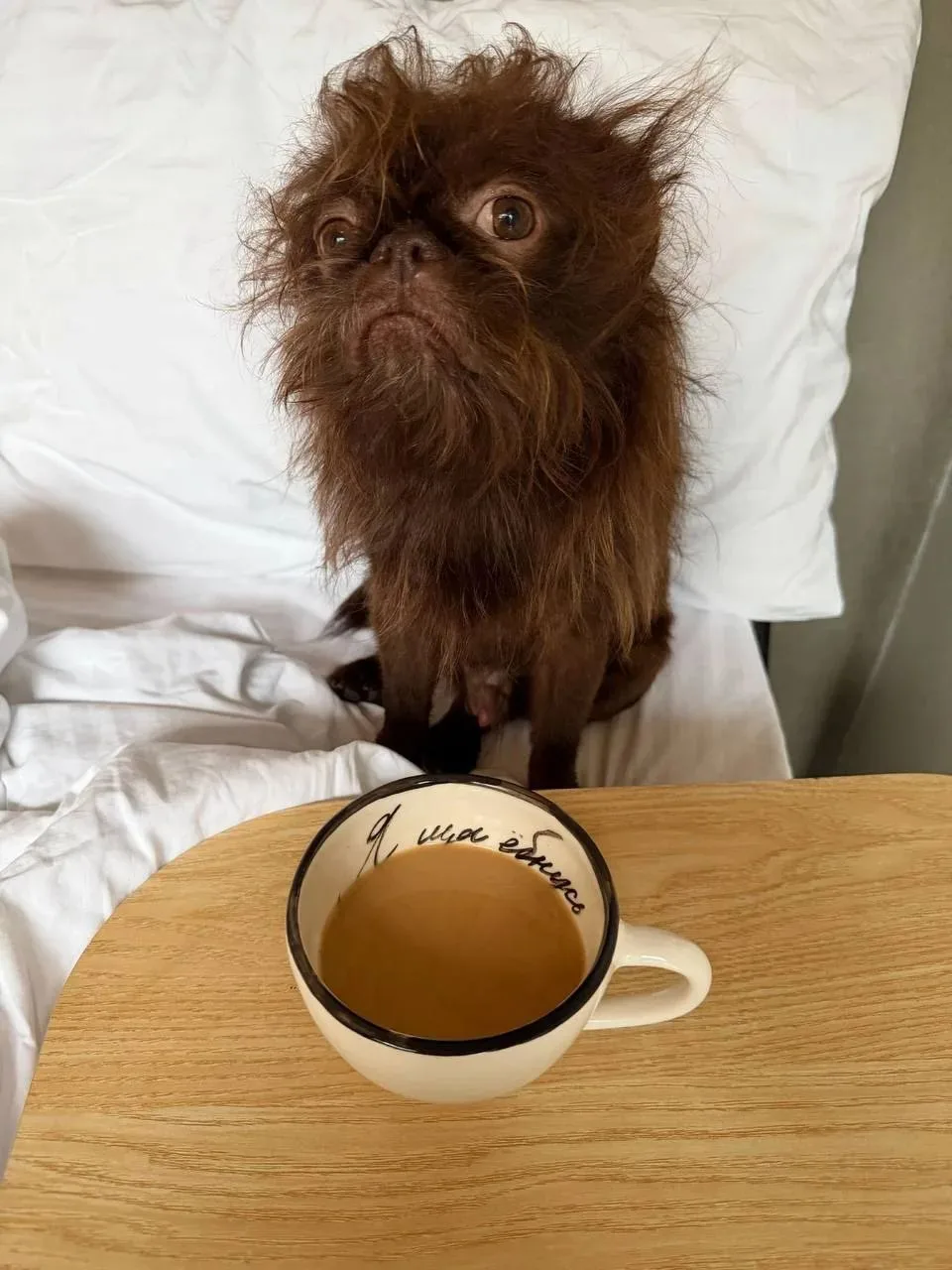 Доброго утра ☕☕☕. 15.10.26