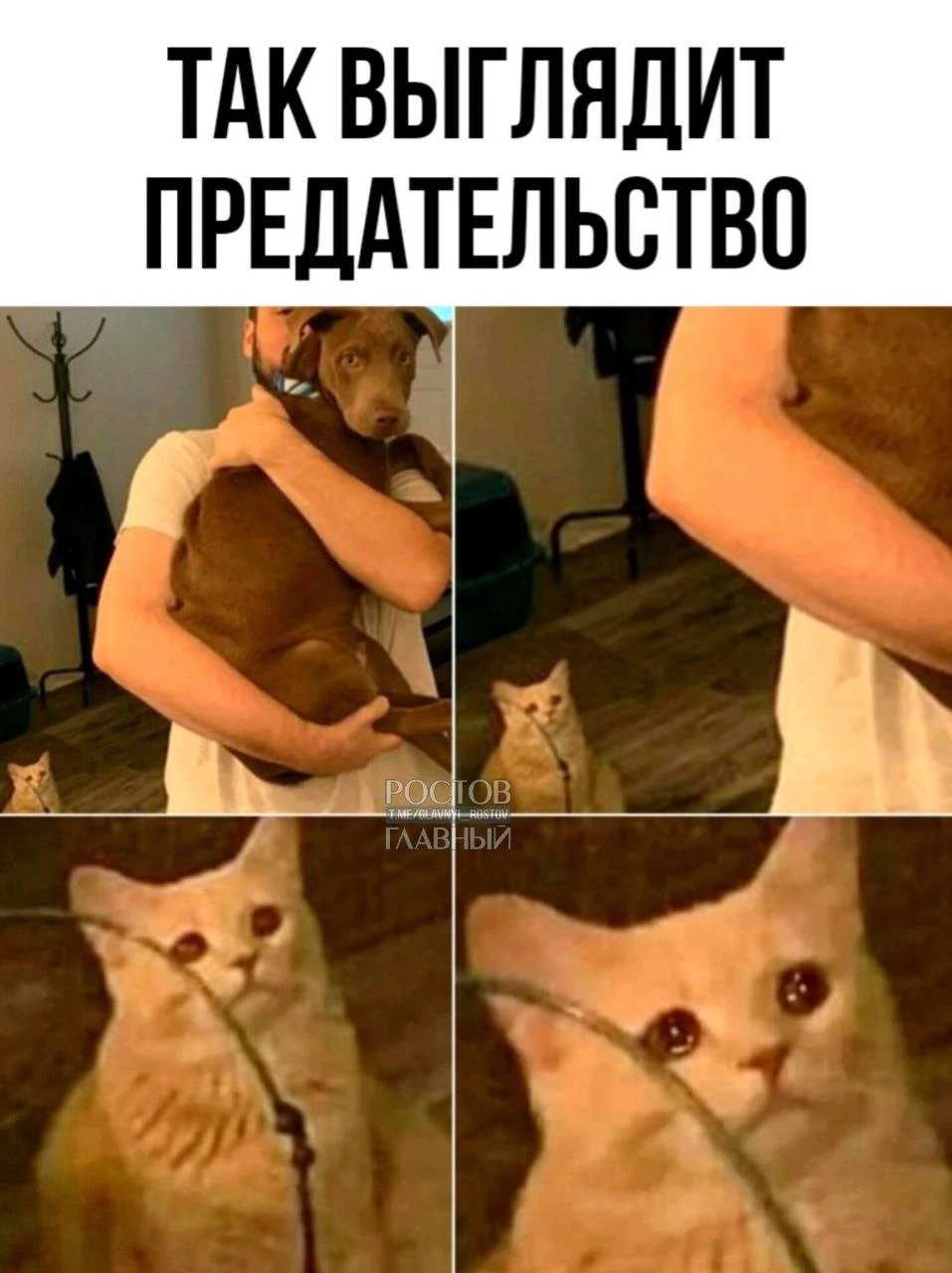 🥺