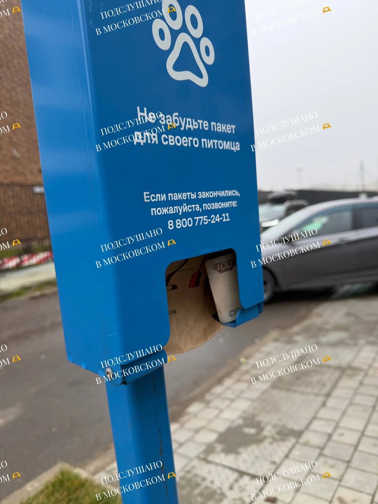 😮😱 Свернутую сторублевую купюру заметили в контейнере для собачьих пакетов в районе В...