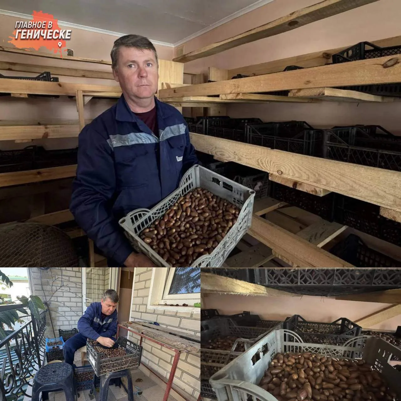 В Голопристанском лесхозе продолжается осенняя заготовка