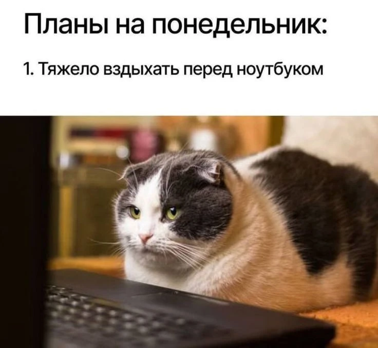 Доброе утро, Москва!