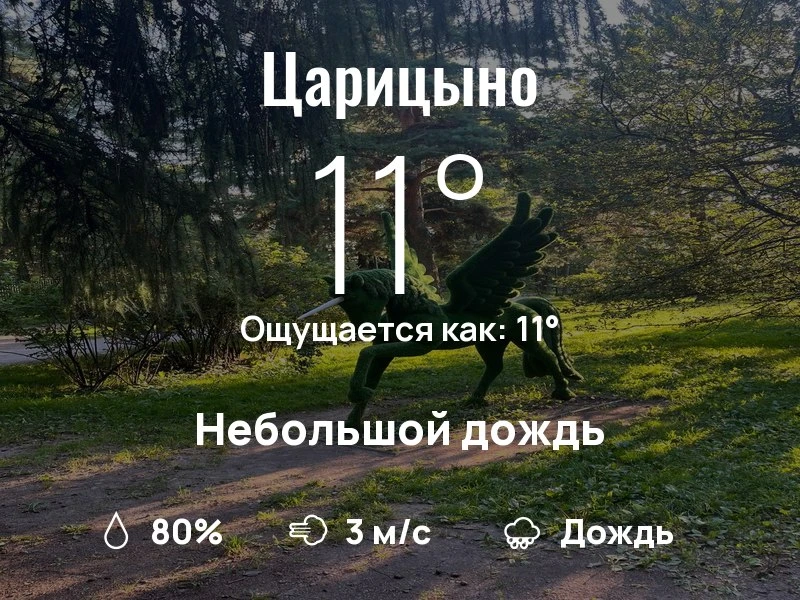 Что с погодой в Царицыно?
