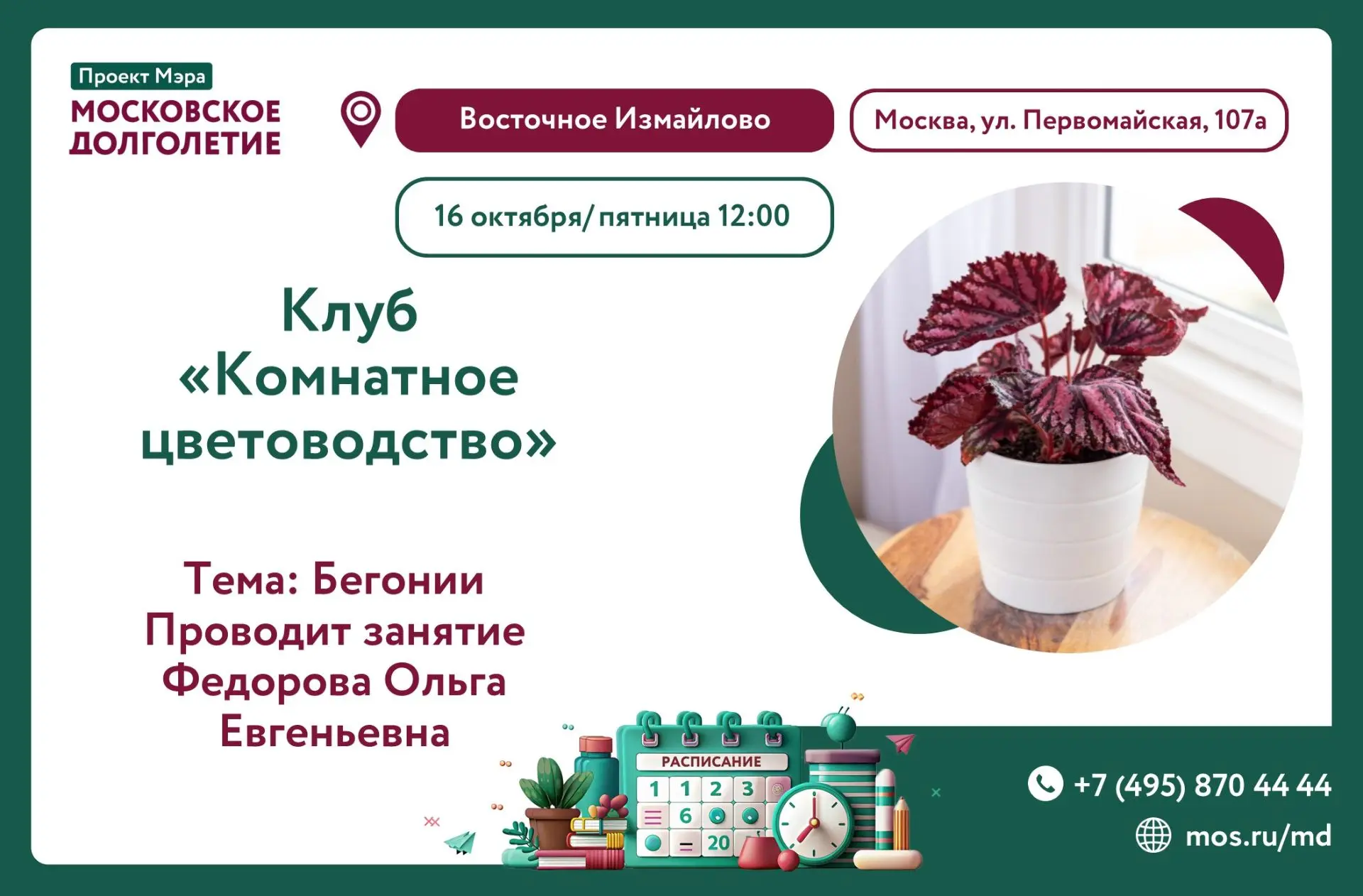 Дорогие друзья ✨