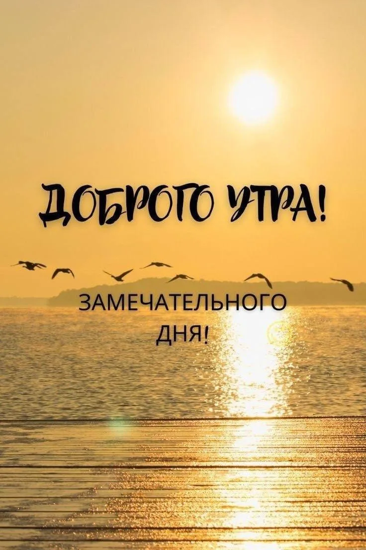 Доброго утра! Замечательного дня!