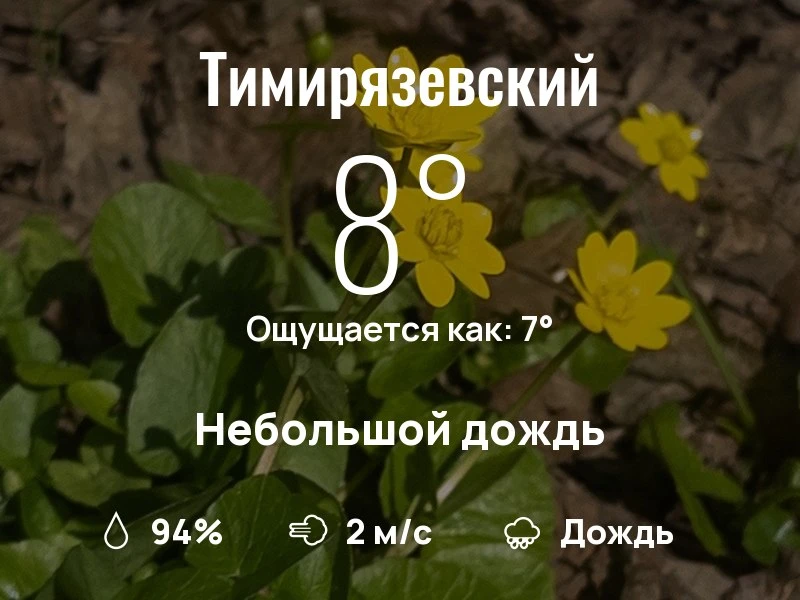 Что с погодой в Тимирязевском?