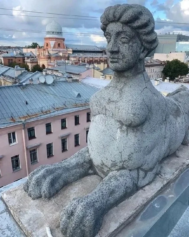 Петербургский сфинкс, которого почти никто не замечает 👀
