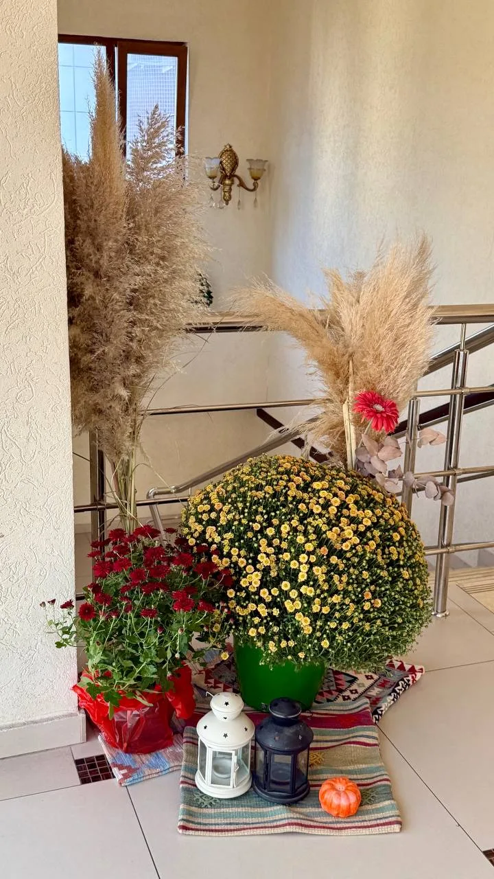 Привела сына на плавание, а тут украшение из тыкв и цветов 🎃,