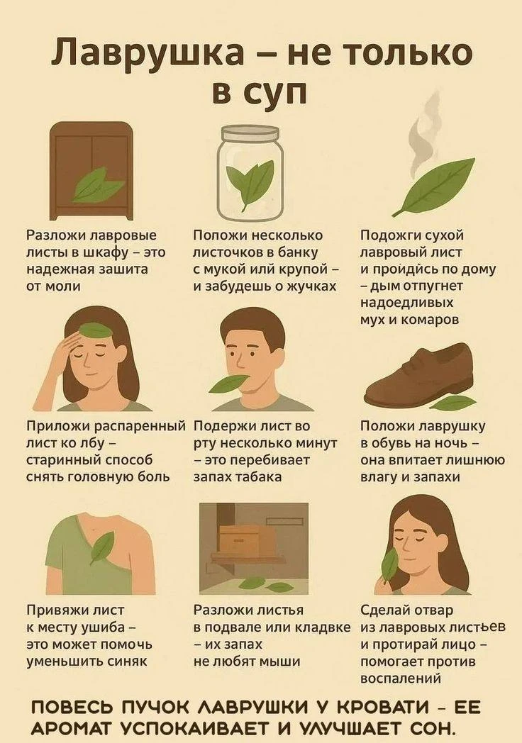 ❗️На заметку
