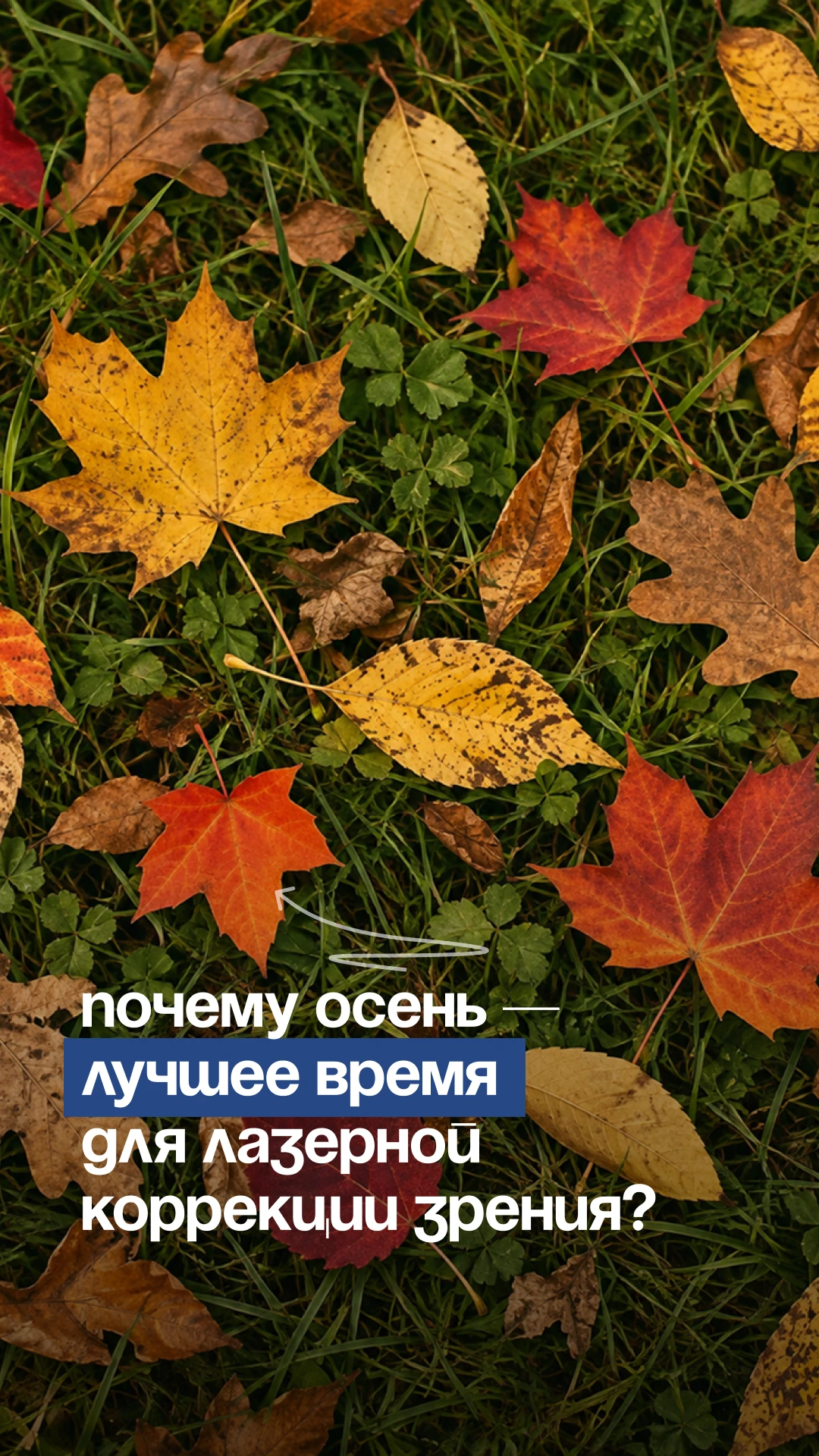 Октябрь — один из самых популярных месяцев для лазерной коррекции. Почему люди выбирают...