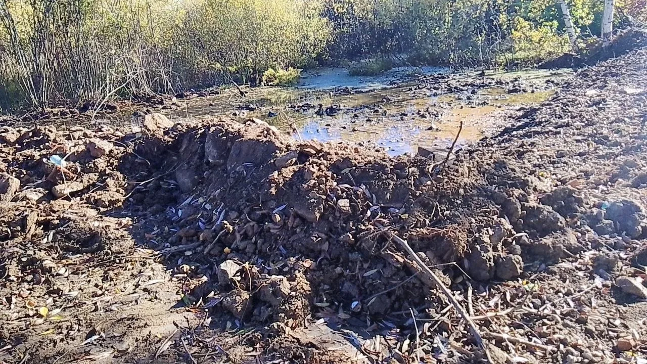 😱 Лобня, беда у Киово!