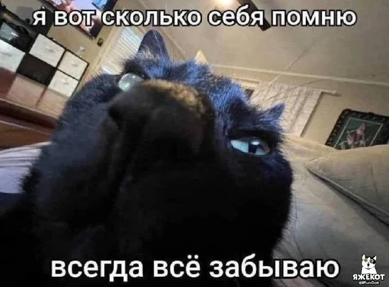 🐾 ЯЖЕКОТ