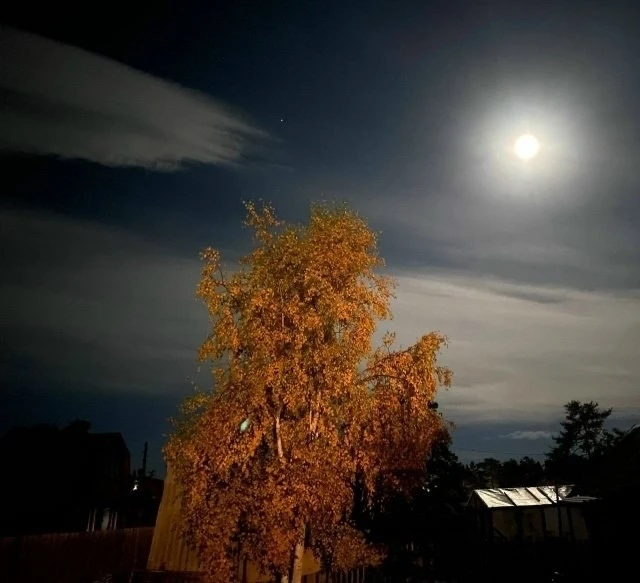 🍂 Осень на Ольхоне