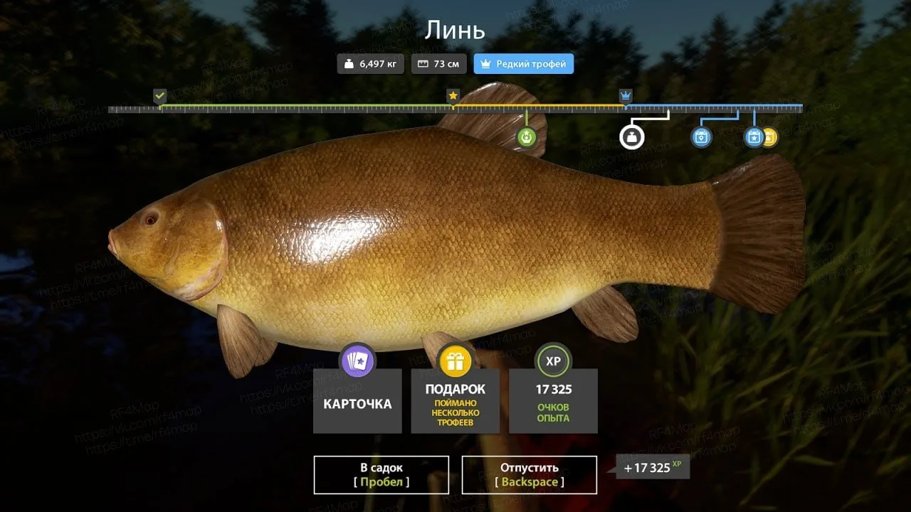 #уникальное_rf4map