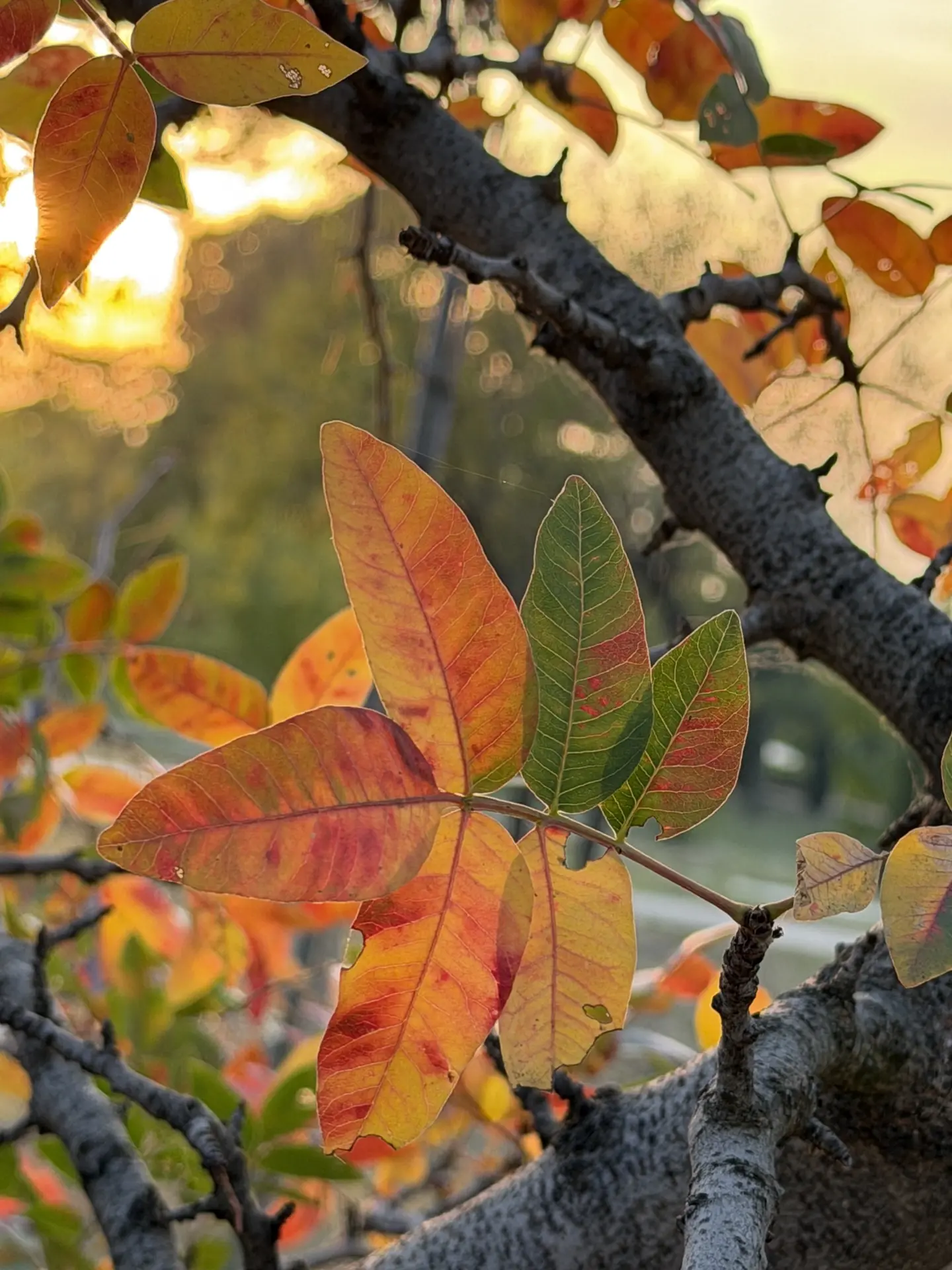 🍁Один из октябрьских деньков🍁