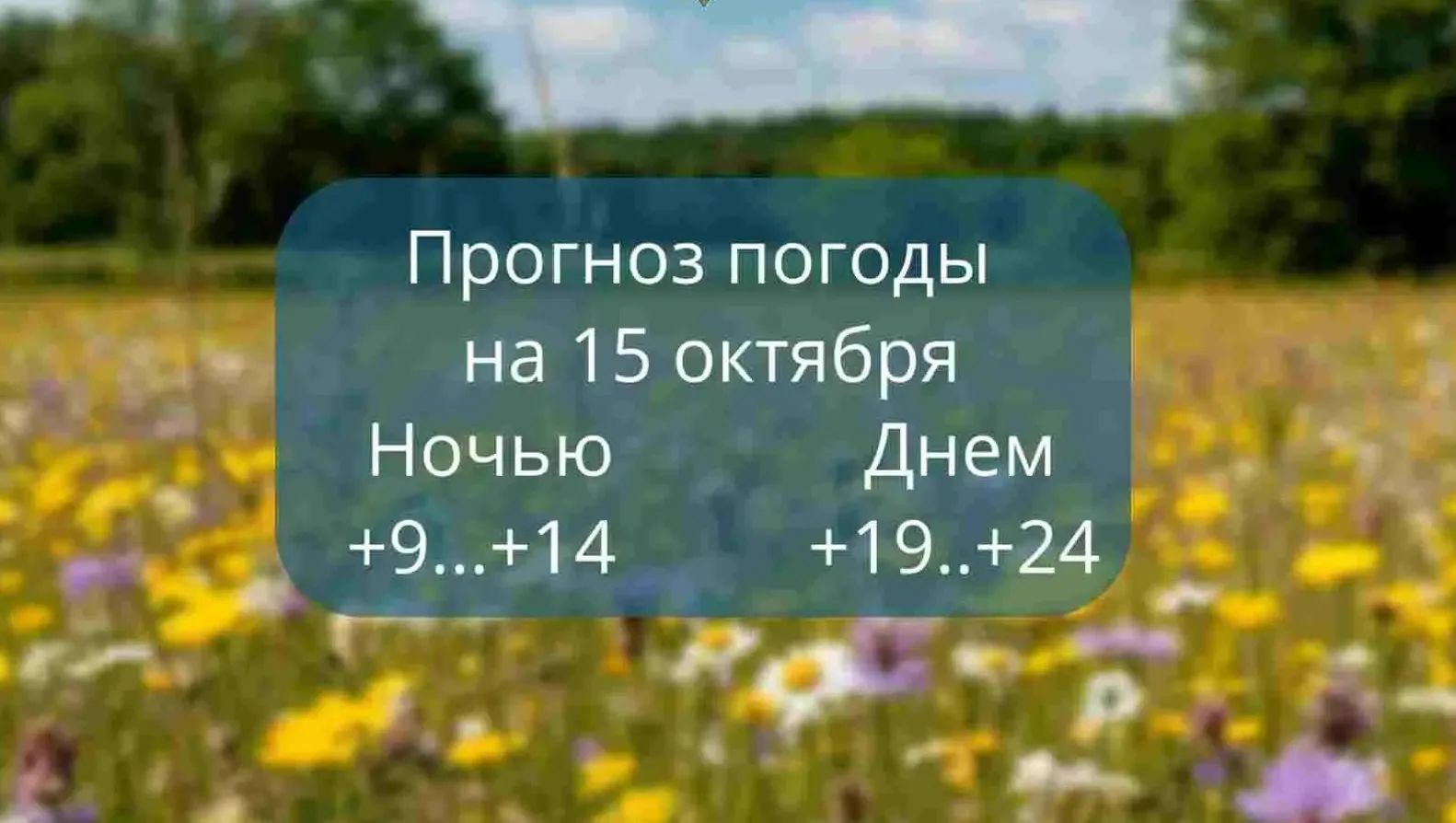 Прогноз погоды на 15 октября