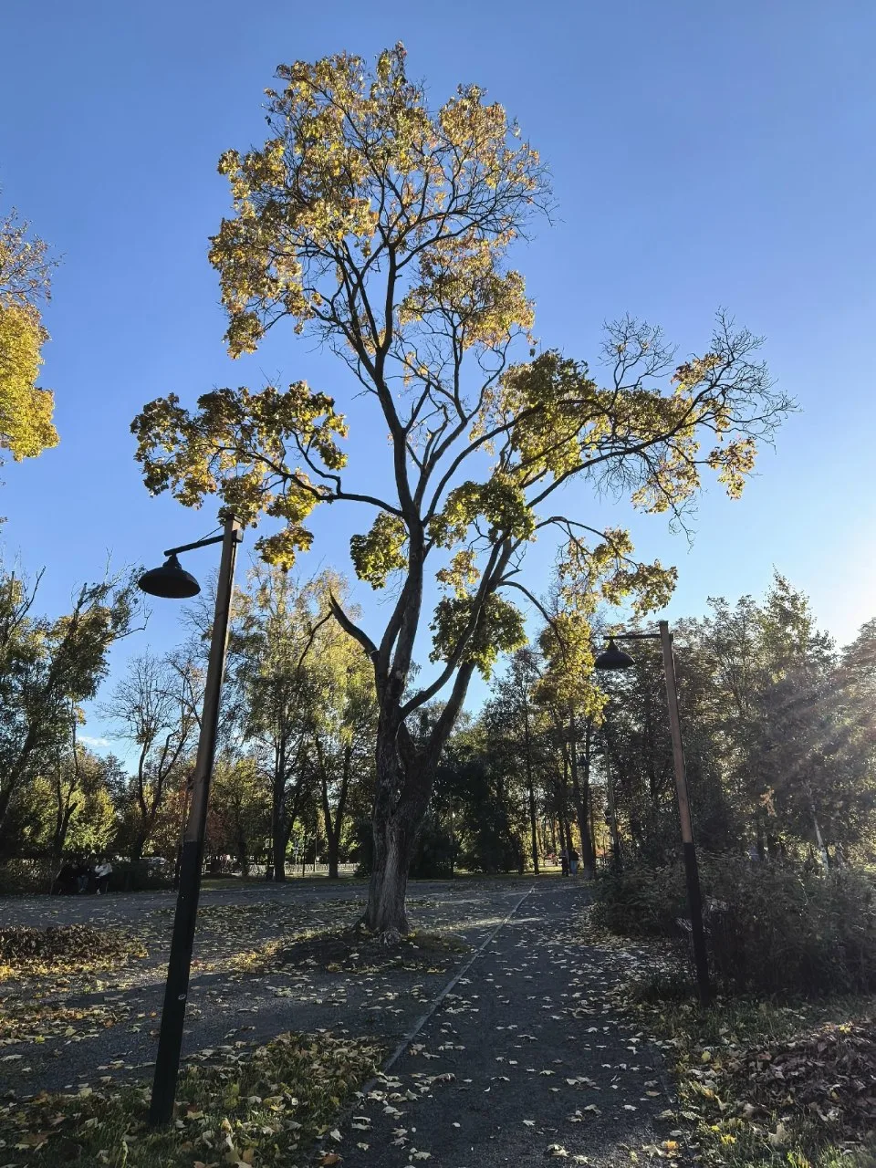 Осень в городе 🍂