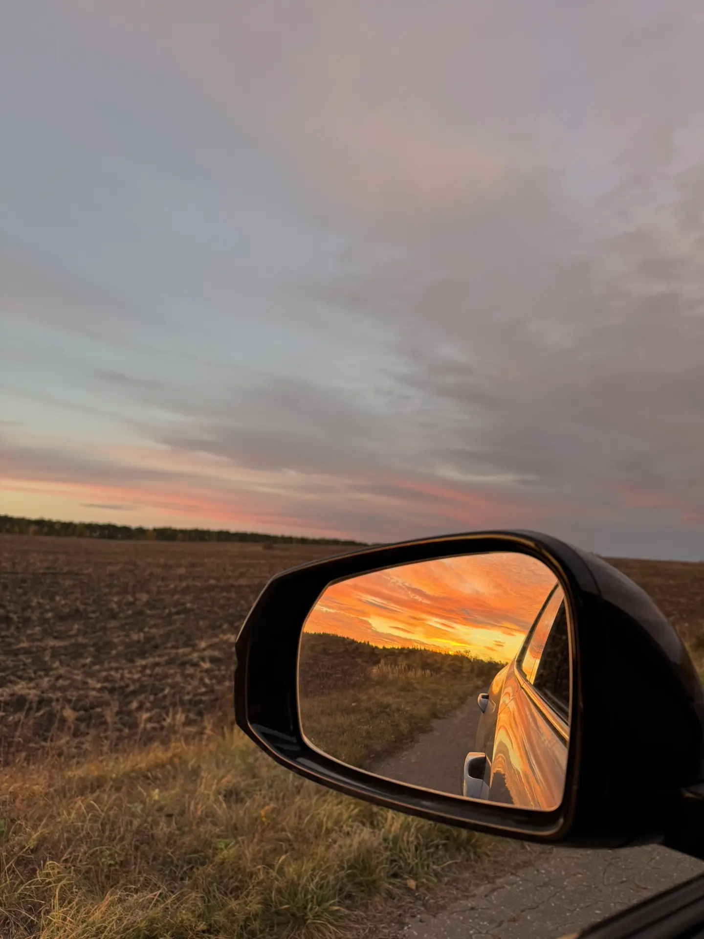 И не надо лететь полдня 🙈 чтобы увидеть потрясающие закаты 🌅