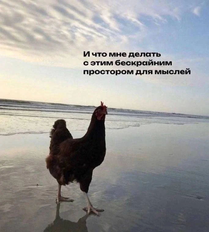 как ощущается жизнь, когда забыла наушники