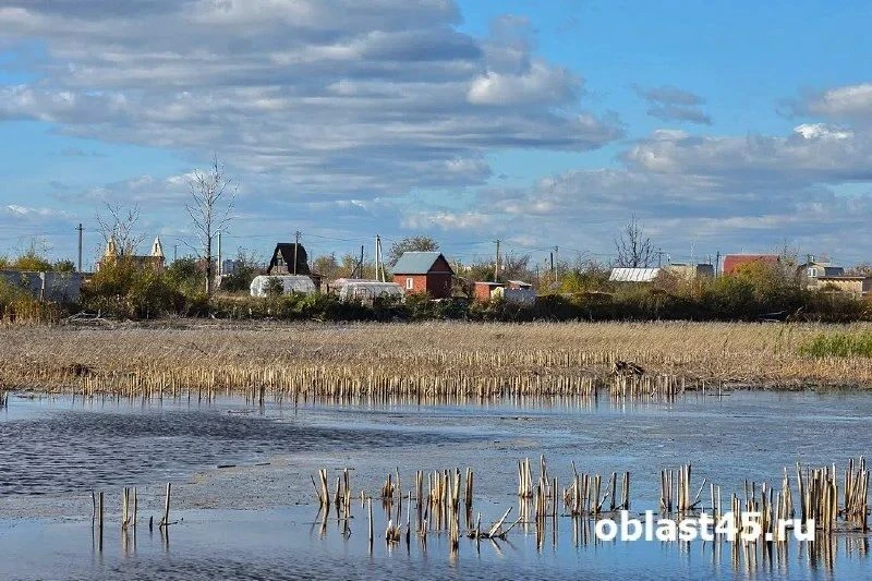 ​Инспекторы проверят частный сектор Кургана на захламление муниципальной земли