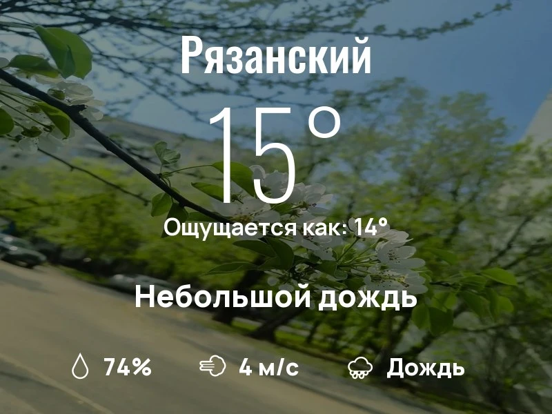 Что с погодой в Рязанском?