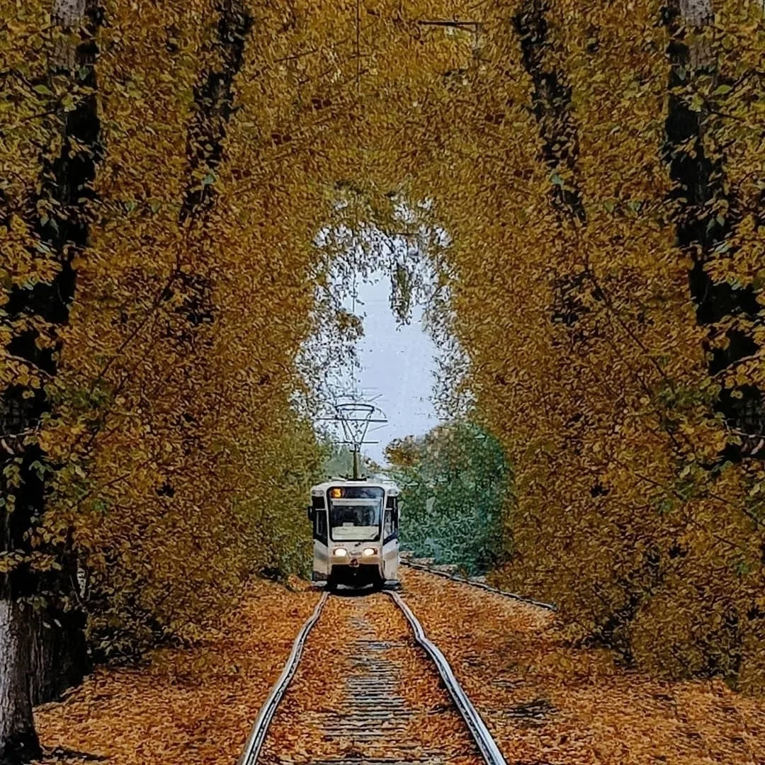 Осенний колорит🍁