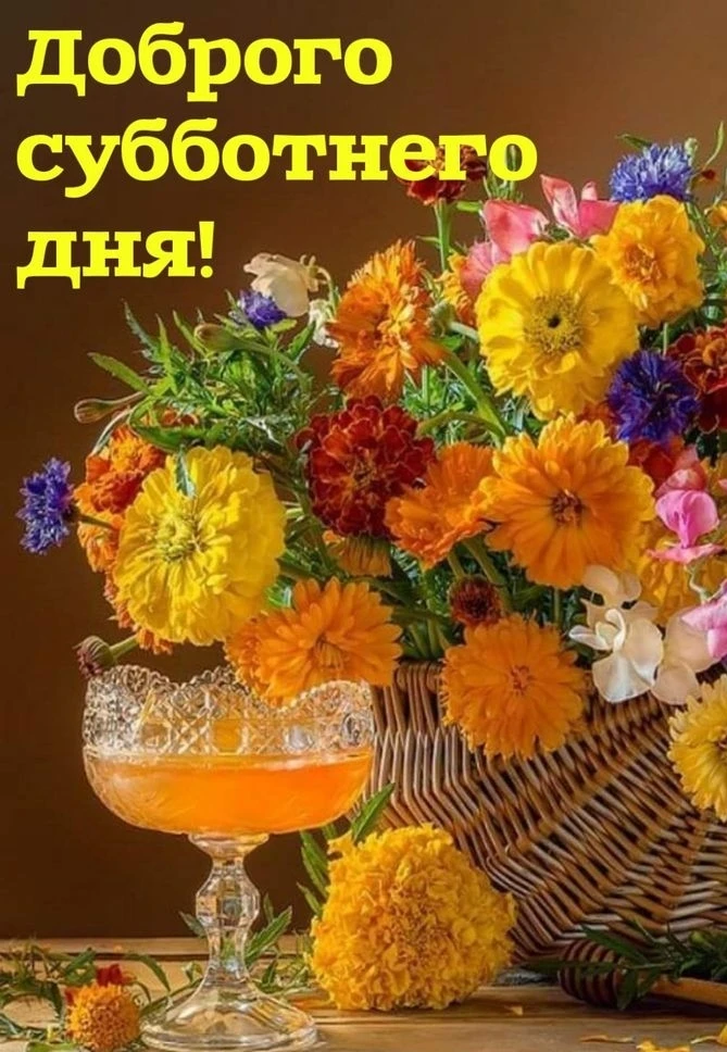🧡🧡🧡