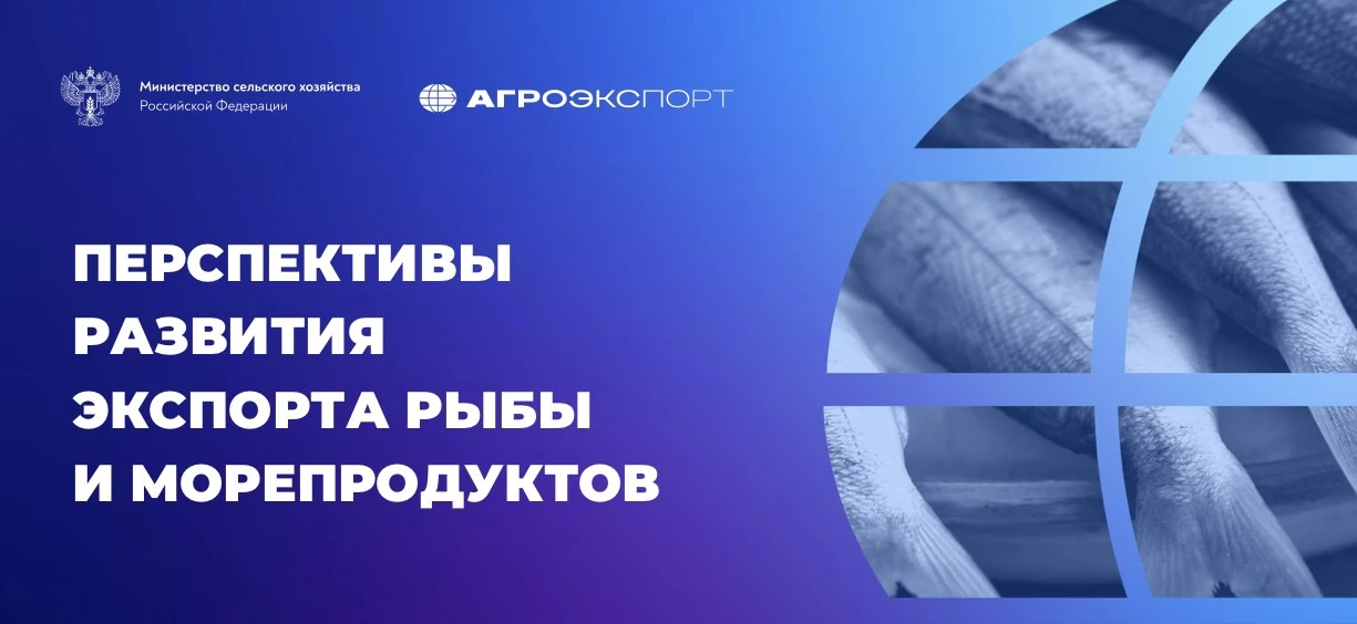 ☀️ ПЕРСПЕКТИВЫ РАЗВИТИЯ