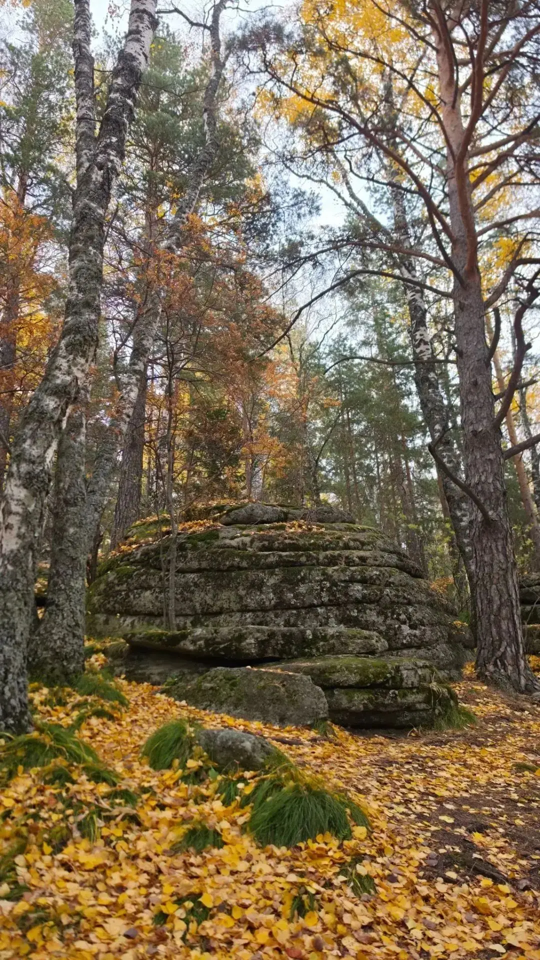 Осень , 🍁 очей очарование.