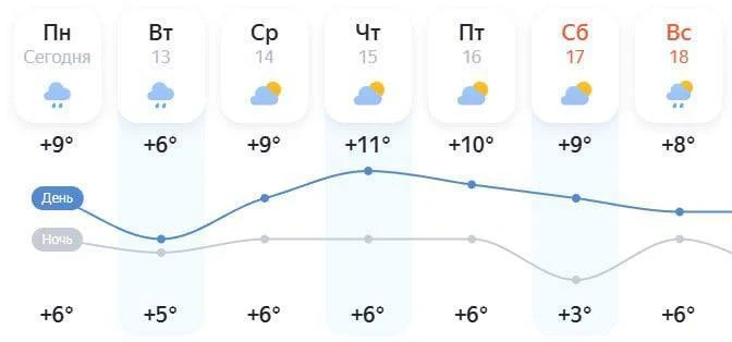 Солнце вернётся в Петербург во второй половине недели