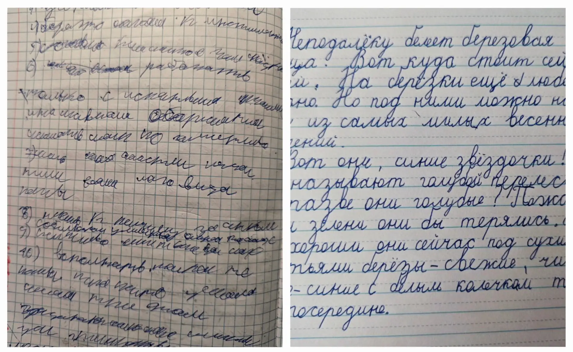 Здравствуйте, я педагог 1 квалификационной категории, специалист по коррекции почерка и...