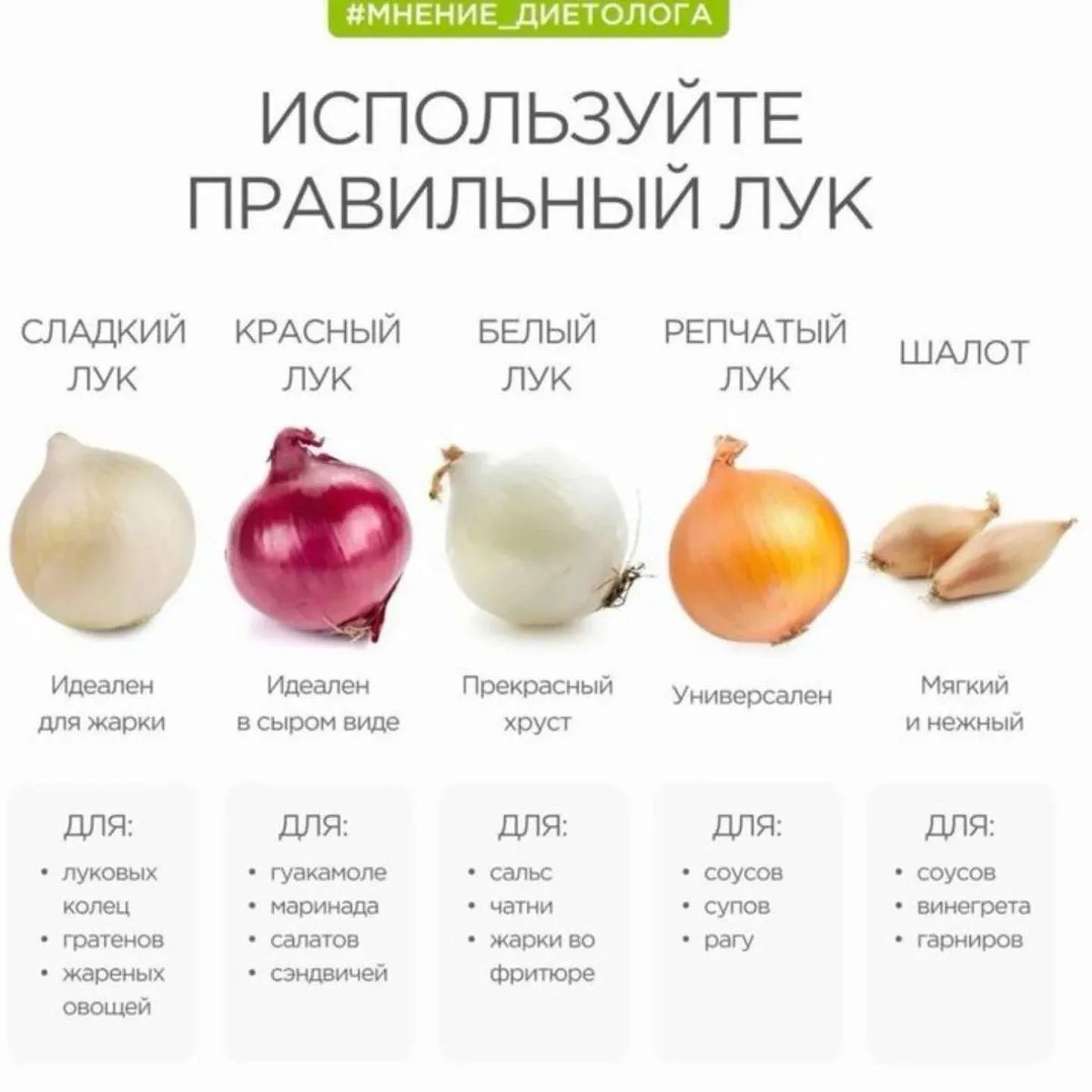 Какой лук для чего подходит