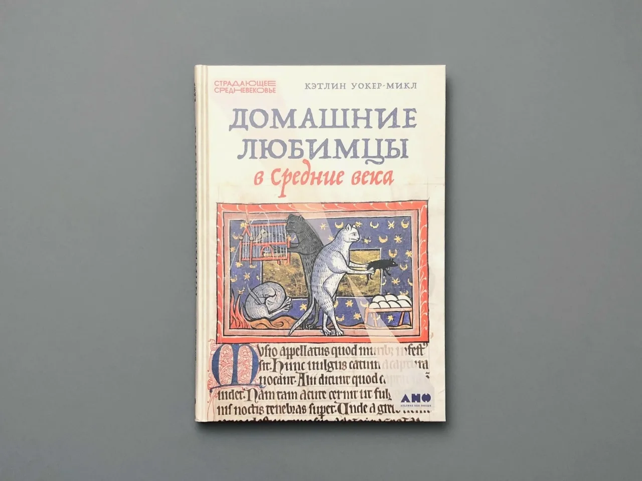 Удивительные факты о средневековых кошках и собаках
