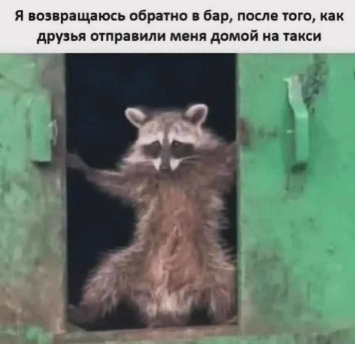 Подпишись на юмор 😂
