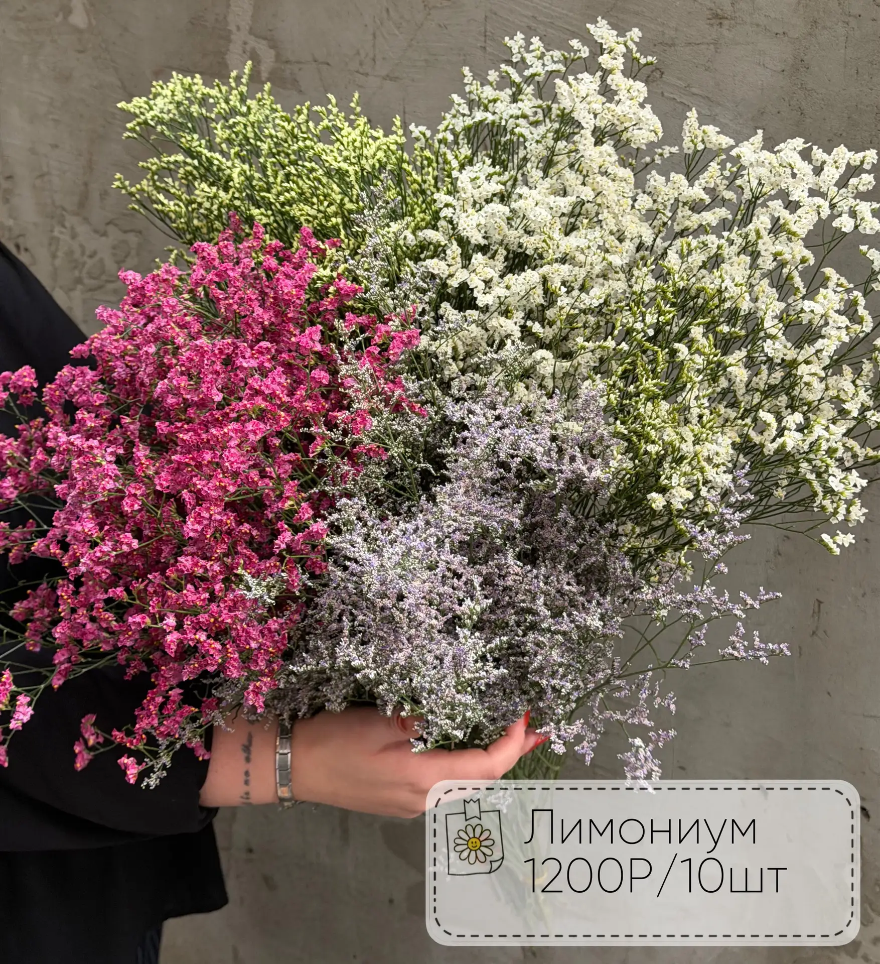 ЛИМОНИУМ 🌿