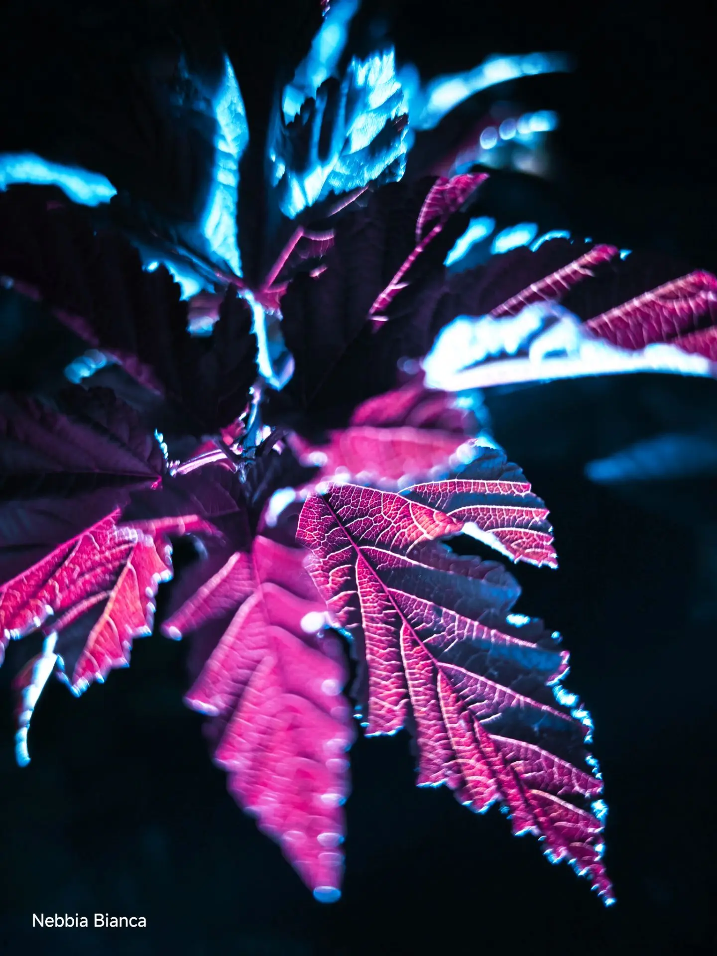 Фото