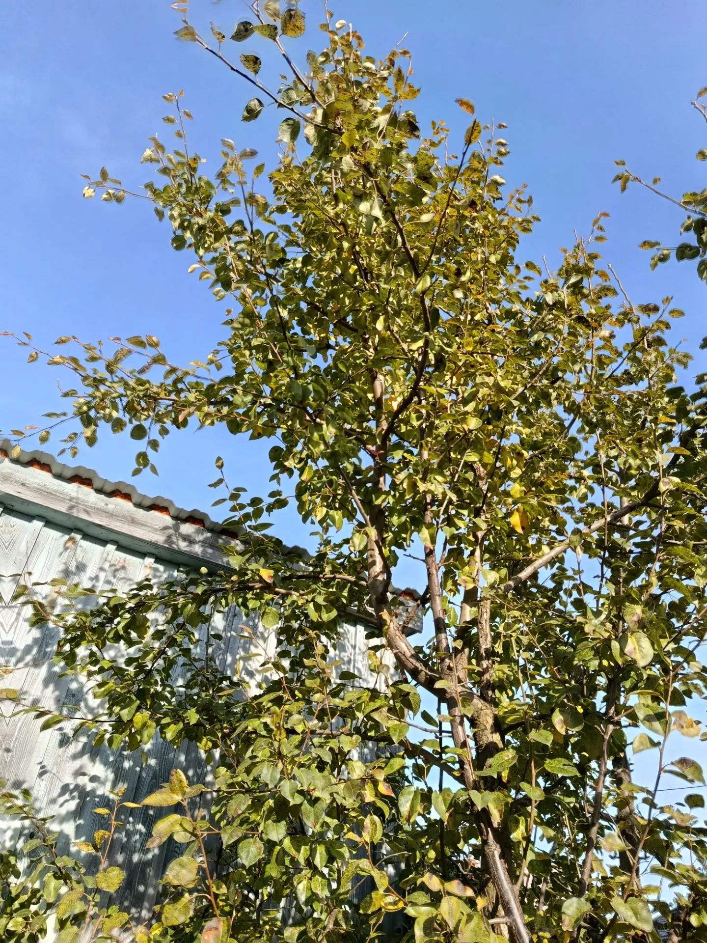 Какой хороший день. Какой ☀️ хороший октябрь. Погода однозначно нас балует 🍁!!!