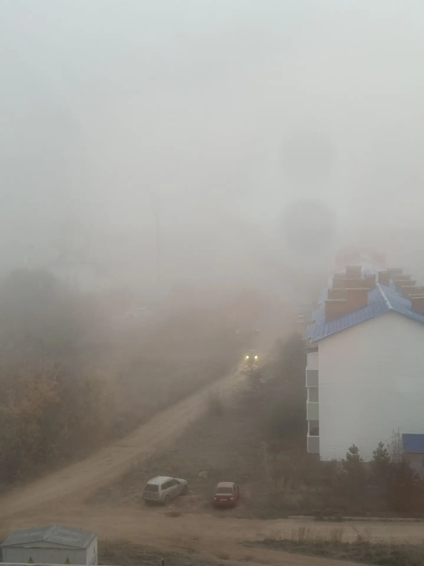 Доброе туманное 🌫️