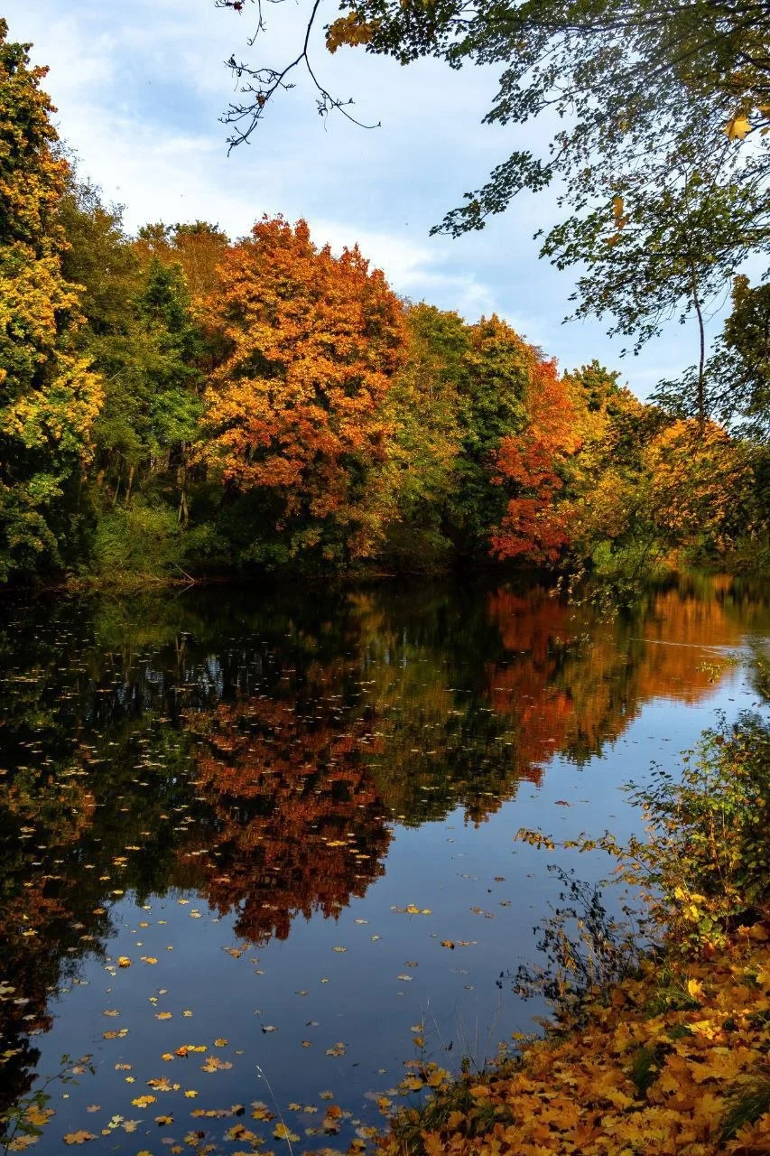 🌤️🍂 Днём 13 октября в Калининградской области ожидается облачная погода с прояснениям...