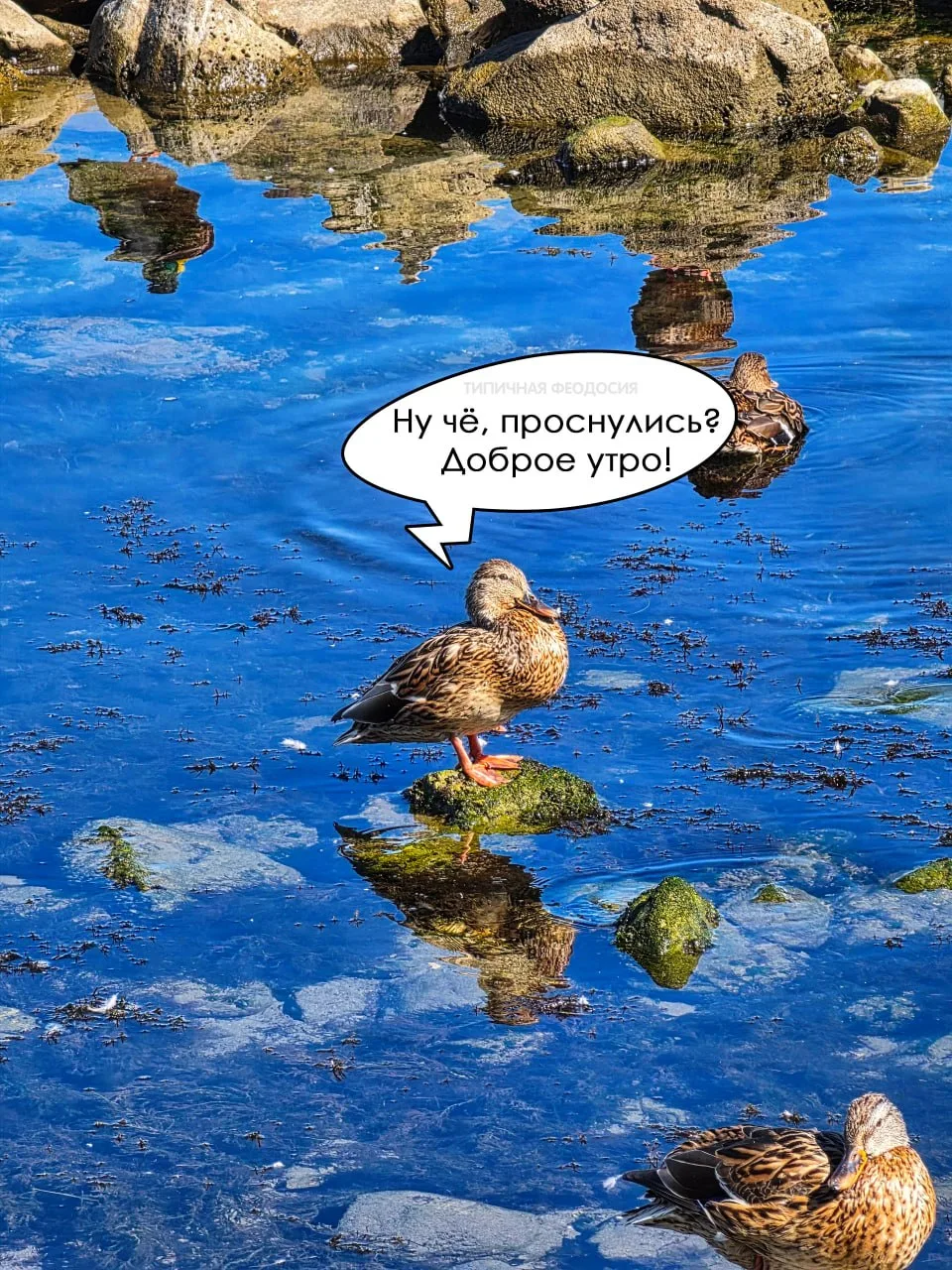 ☀️ Доброе утро, Феодосия.