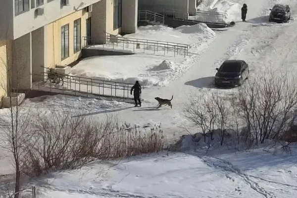 С администрации Челябинска через суд взыскали 360 тысяч рублей в пользу детей, пострада...