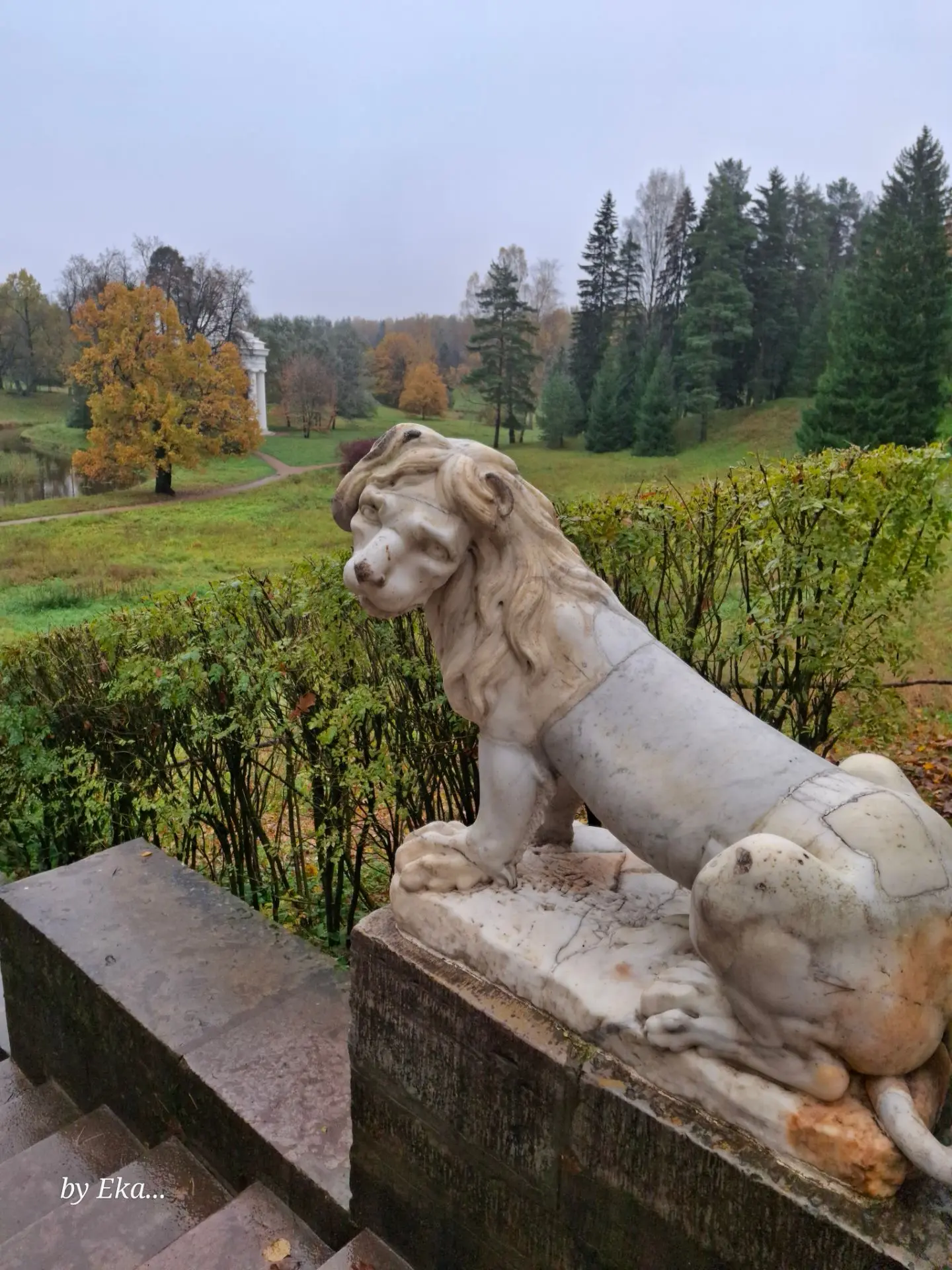 Павловский парк. Октябрь. Понедельник. Хмуро.