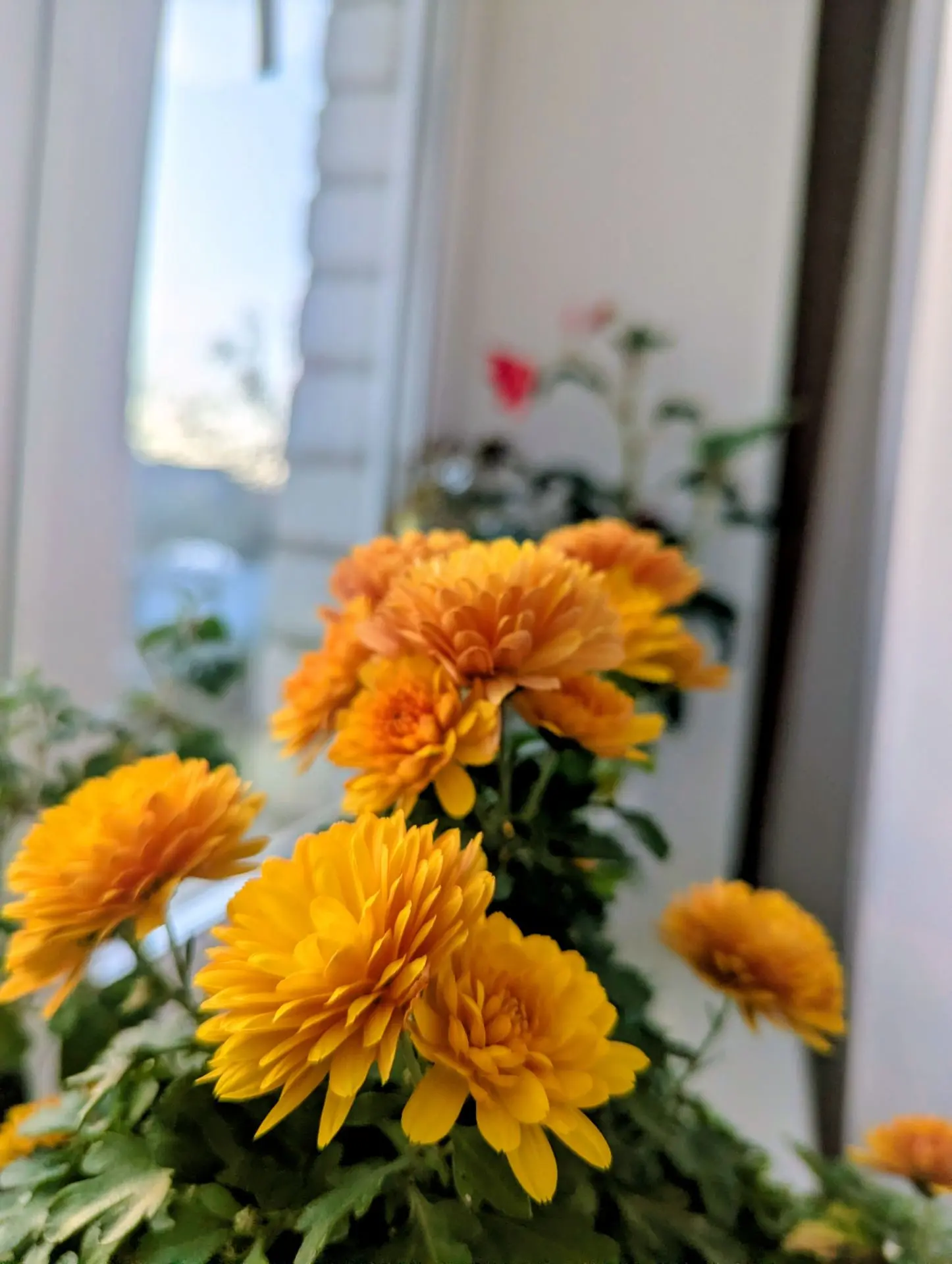🌻 13  октябрь