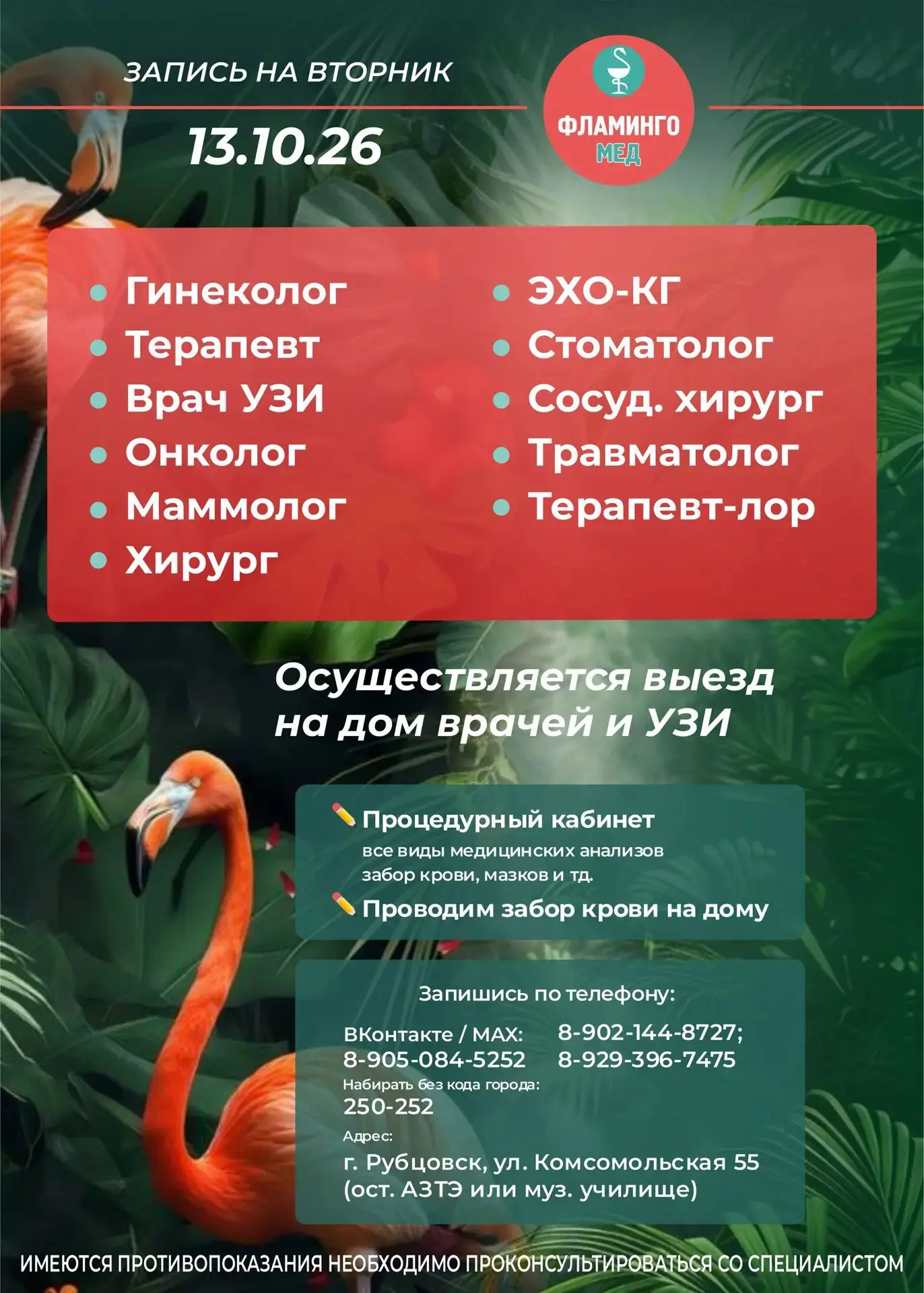 Расписание приема докторов с 13 по 18 октября🦩