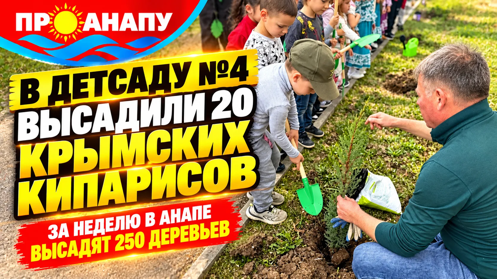 В Анапе за неделю высадят 250 крымских кипарисов на территориях детских садов