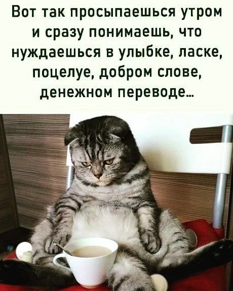 Эх... Пойду, хоть кофе наверну 😁